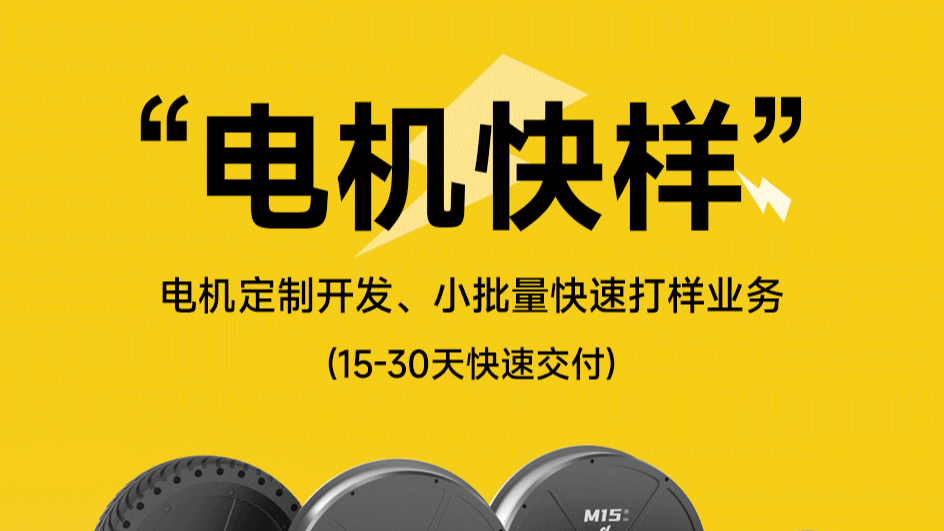 电机快样 I 电机定制开发、小批量快速打样业务，15-30天快速交付